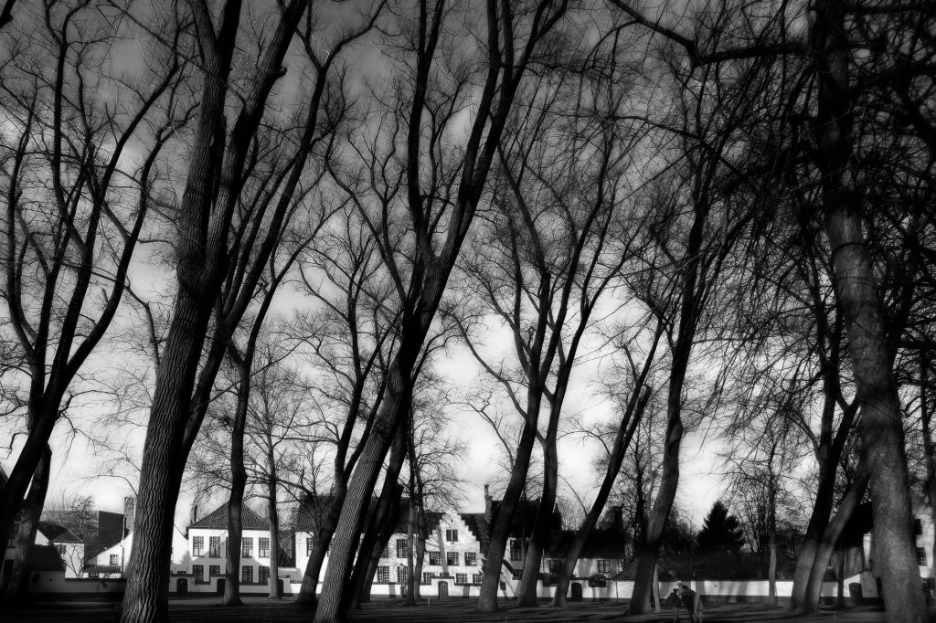 le béguinage par Yvonne Berrier